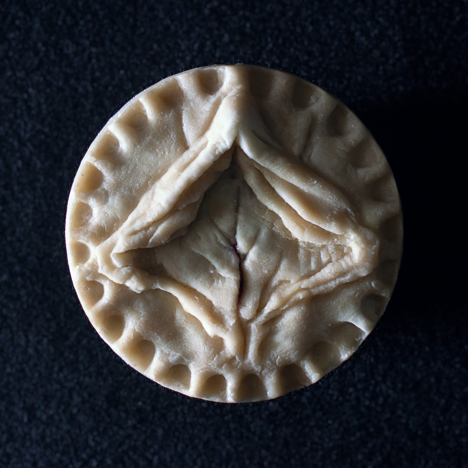 Pie 9, a pie sculpted to appear like a vulva