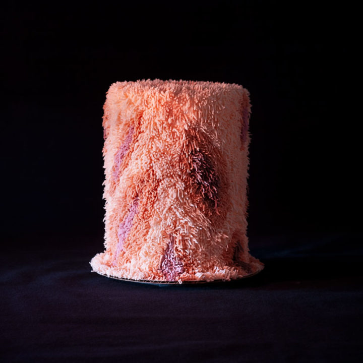 8 inch tall shag cake decorated with vulva art and pink and peach flesh toned color scheme.