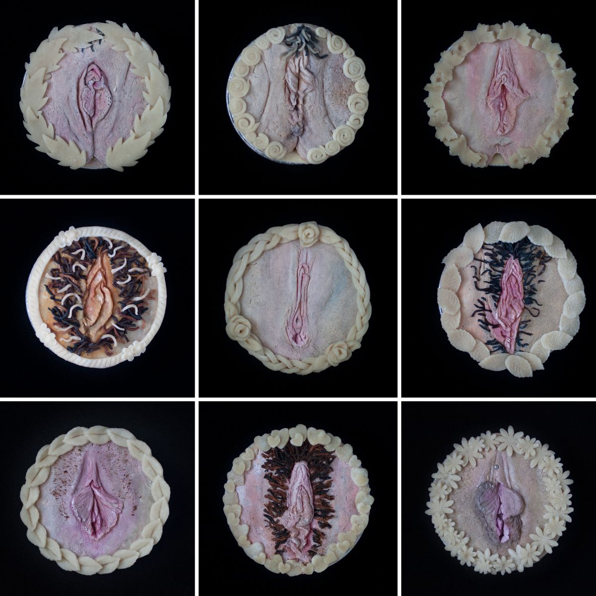 9 vulva pies on black background. Each pie has a different, diverse vulva and pubic hair style. 