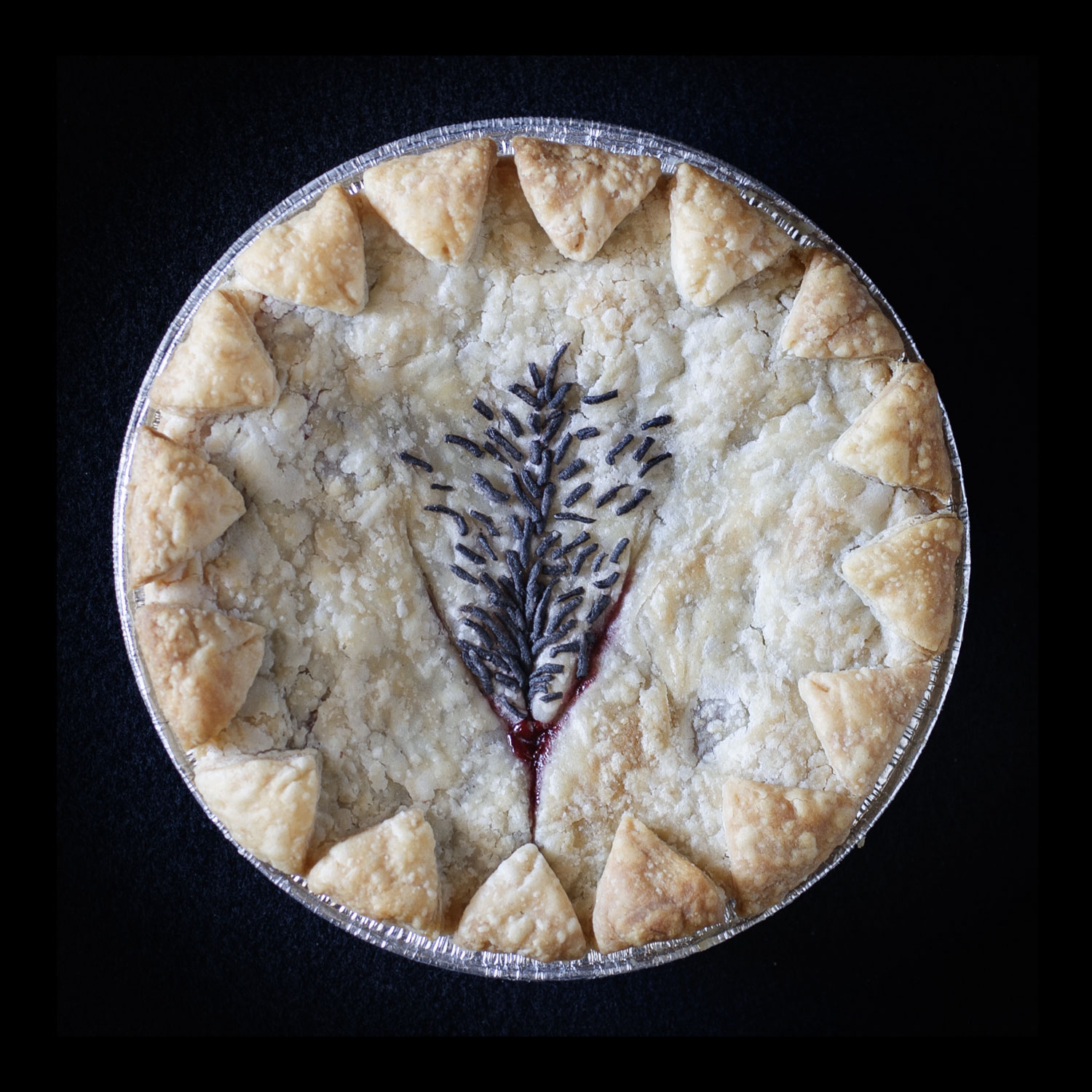A baked pie on a black background. The pie is adorned with a frontal view of a human vulva with dark pubic hair all made from pie dough. 