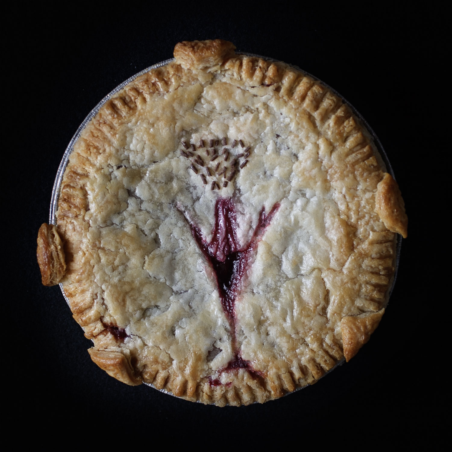 Baked art pie with cherry filling. The pie is sculpted to look like the frontal view of a vulva.