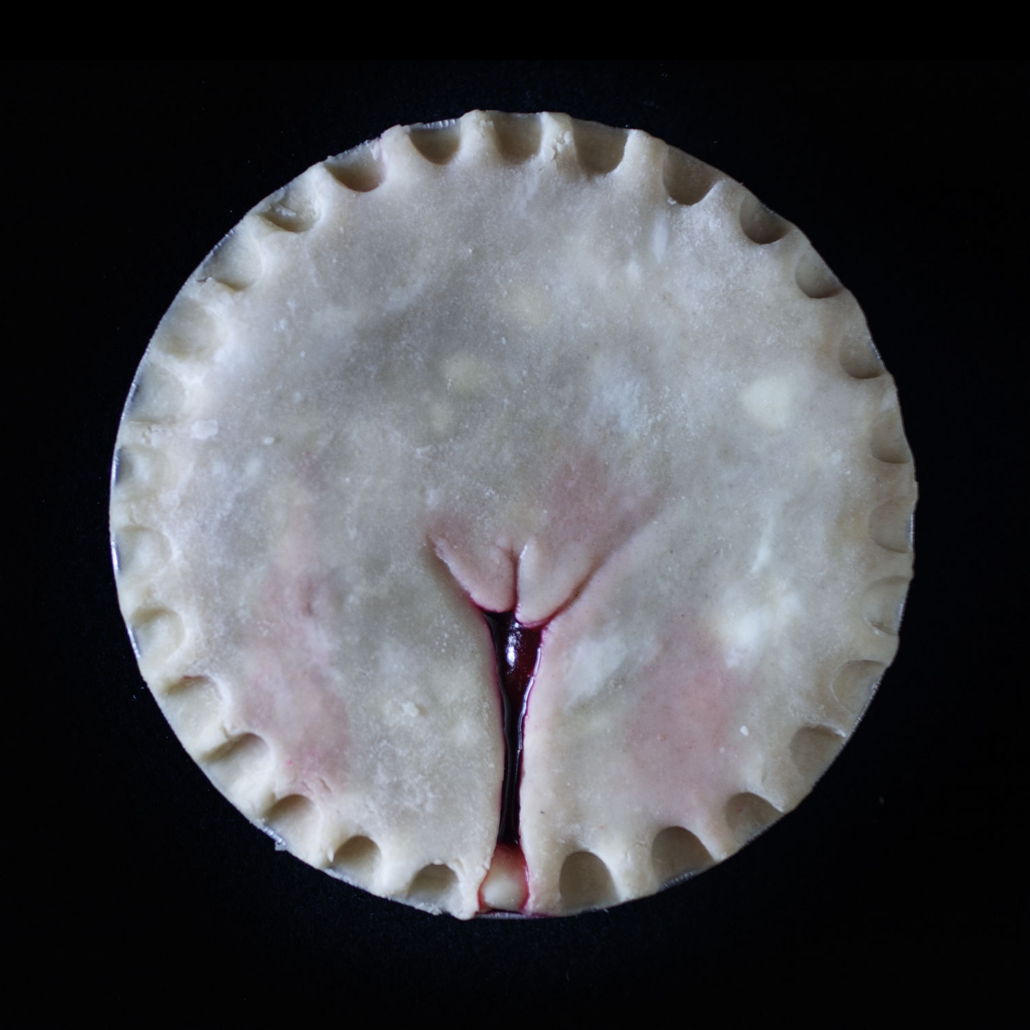 Made from scratch vulva pie on black background. 